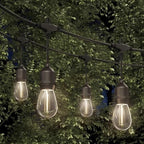 String of outdoor light bulbs hanging against a green leafy background