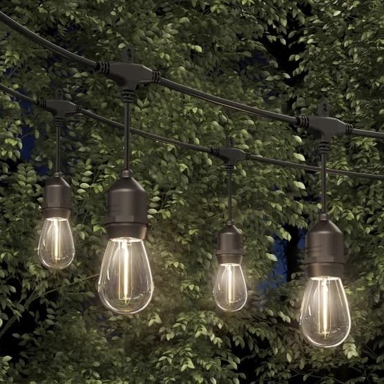 String of outdoor light bulbs hanging against a green leafy background