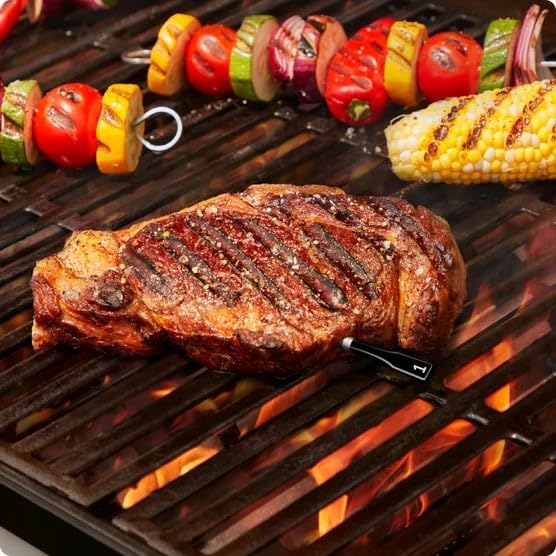 IQ Sense | Smart Wireless Meat Thermometer | 2 Ultra-Thin Probes | WiFi Unlimited Range | 1000°F Heat Safe | 5 Sensors | BBQ, Grill, Oven, Smoker, Air Fryer | Gen3