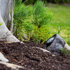 Garden light fixture embedded in soil next to a rock and plant