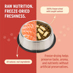 Nutri Bites Freeze Dried Salmon Dog & Cat Treats, 14oz | Healthy Pet Training Treats or Food Topper | All Natural, 1 Single Animal Protein, High Protein