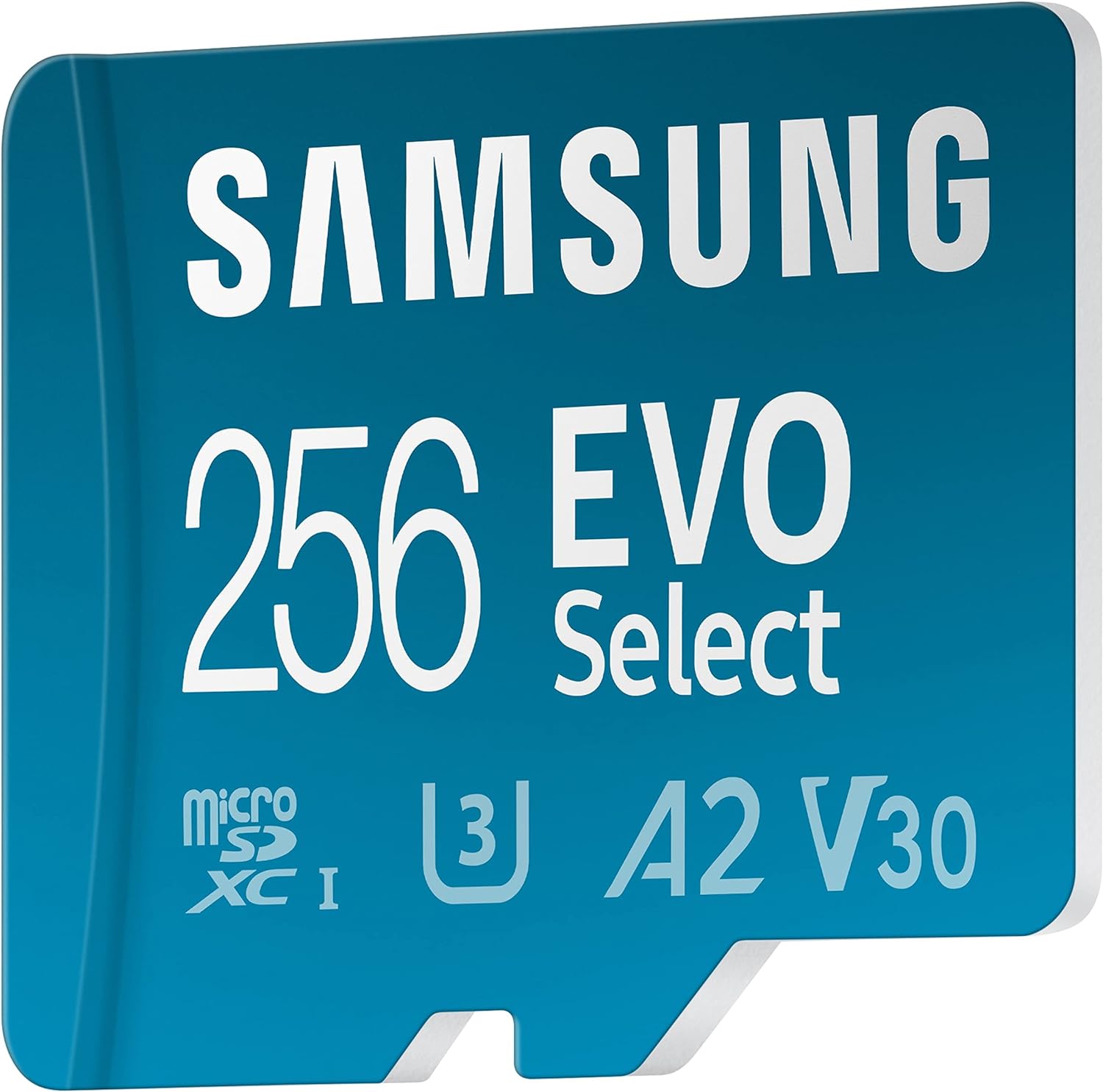 Samsung 256GB EVO Select microSD card on a white background