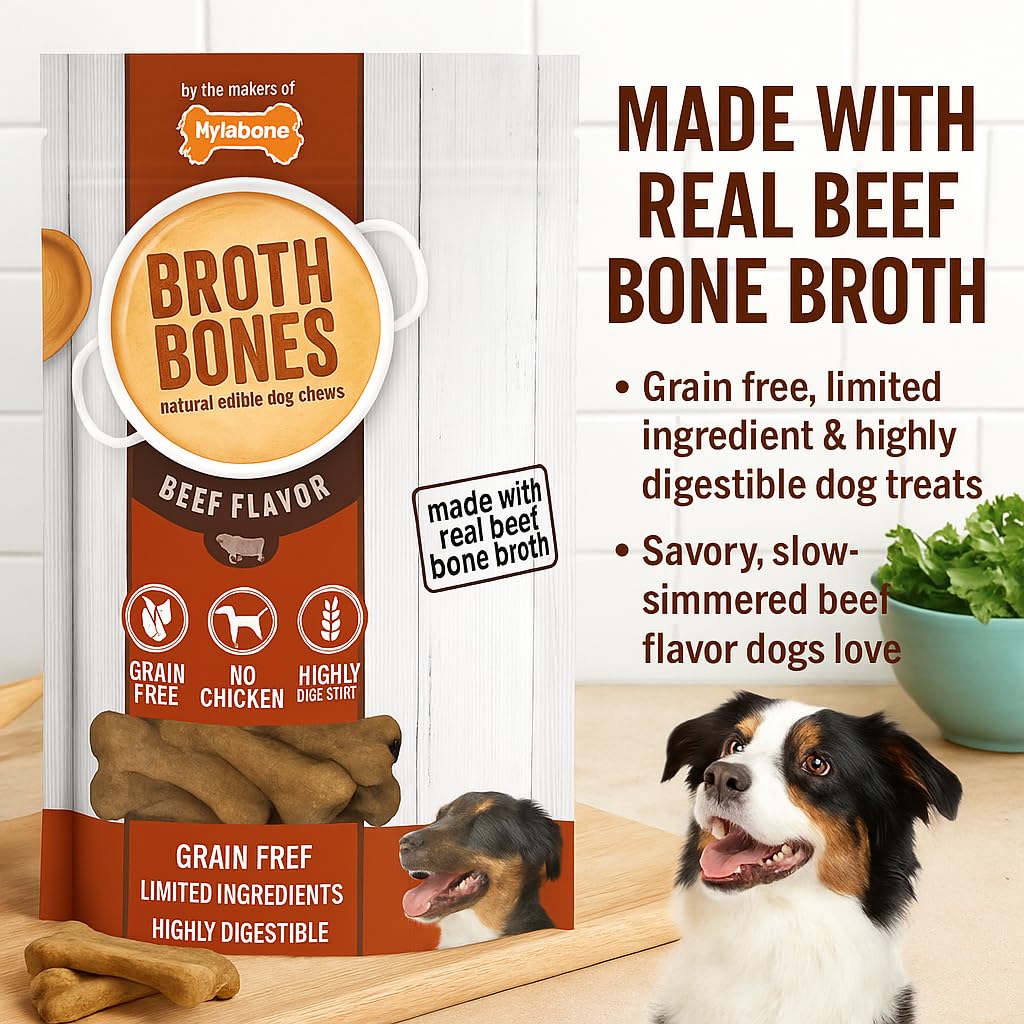 Nylabone Beef Broth Bones Dog Treats (Net 54Count), 2.38 Lb