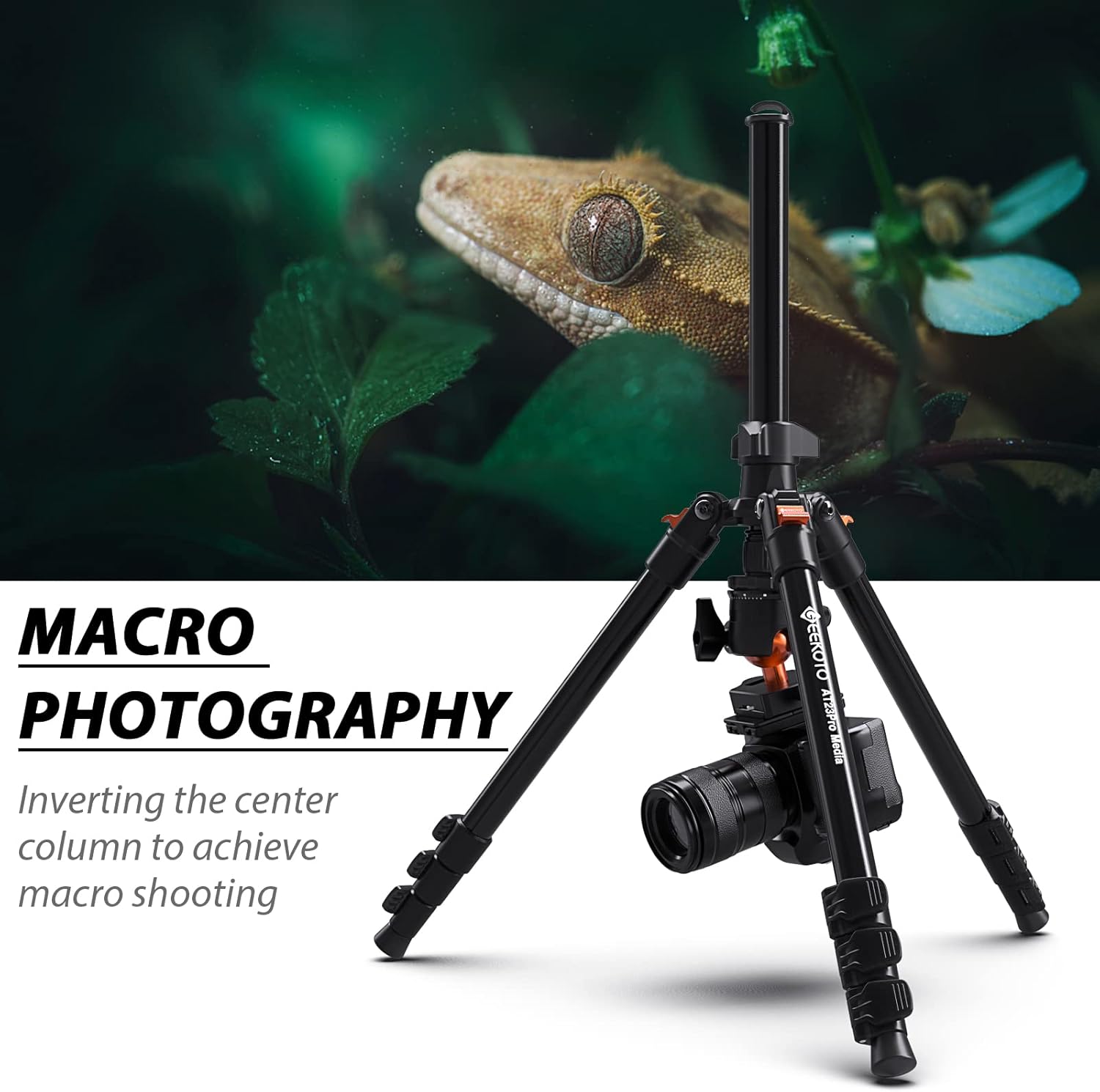 GEEKOTO 64" Camera Tripod, Compact Aluminum Tripod with 360 Degree Panorama Ball Head 1/4 inch Quick Release Plate, DSLR Tripod Suitable for SLR Cameras
