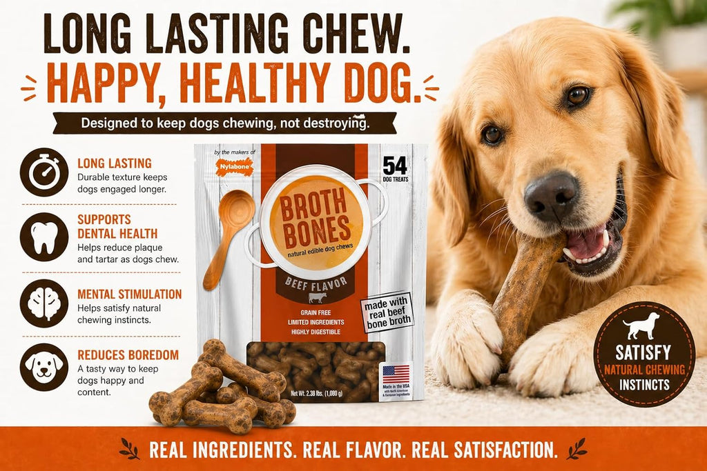 Nylabone Beef Broth Bones Dog Treats (Net 54Count), 2.38 Lb