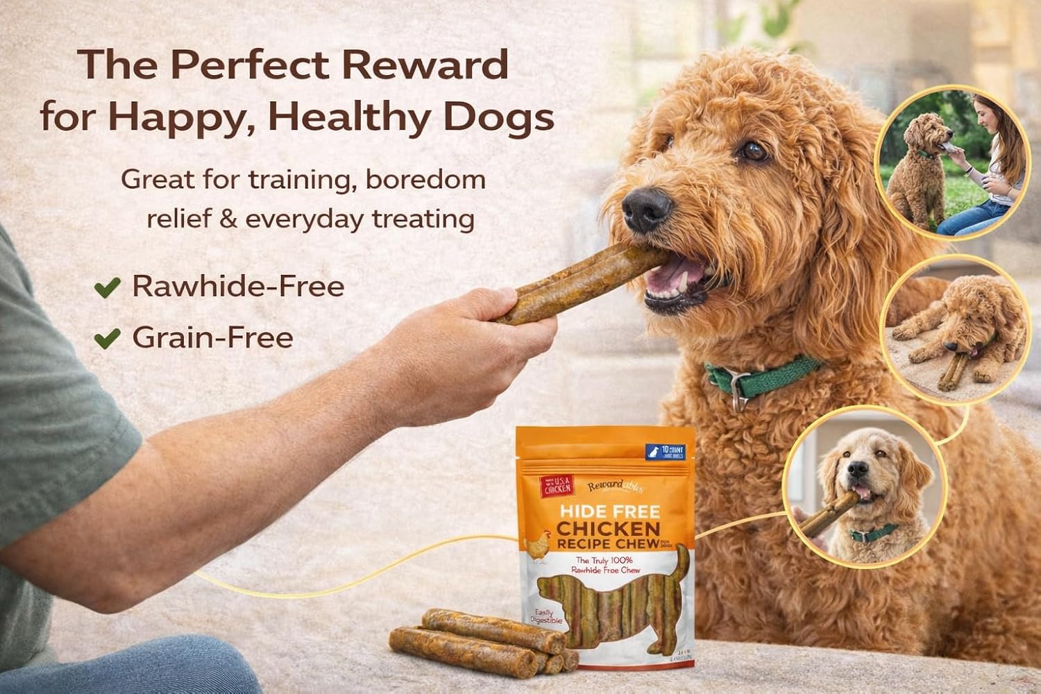 Dog Chews Rawhide-Free - Chicken Dental Treats for Large Dogs, Grain-Free Digestible Chews, 10 Pack 7" Rolls by Rewardables (2.4lb)