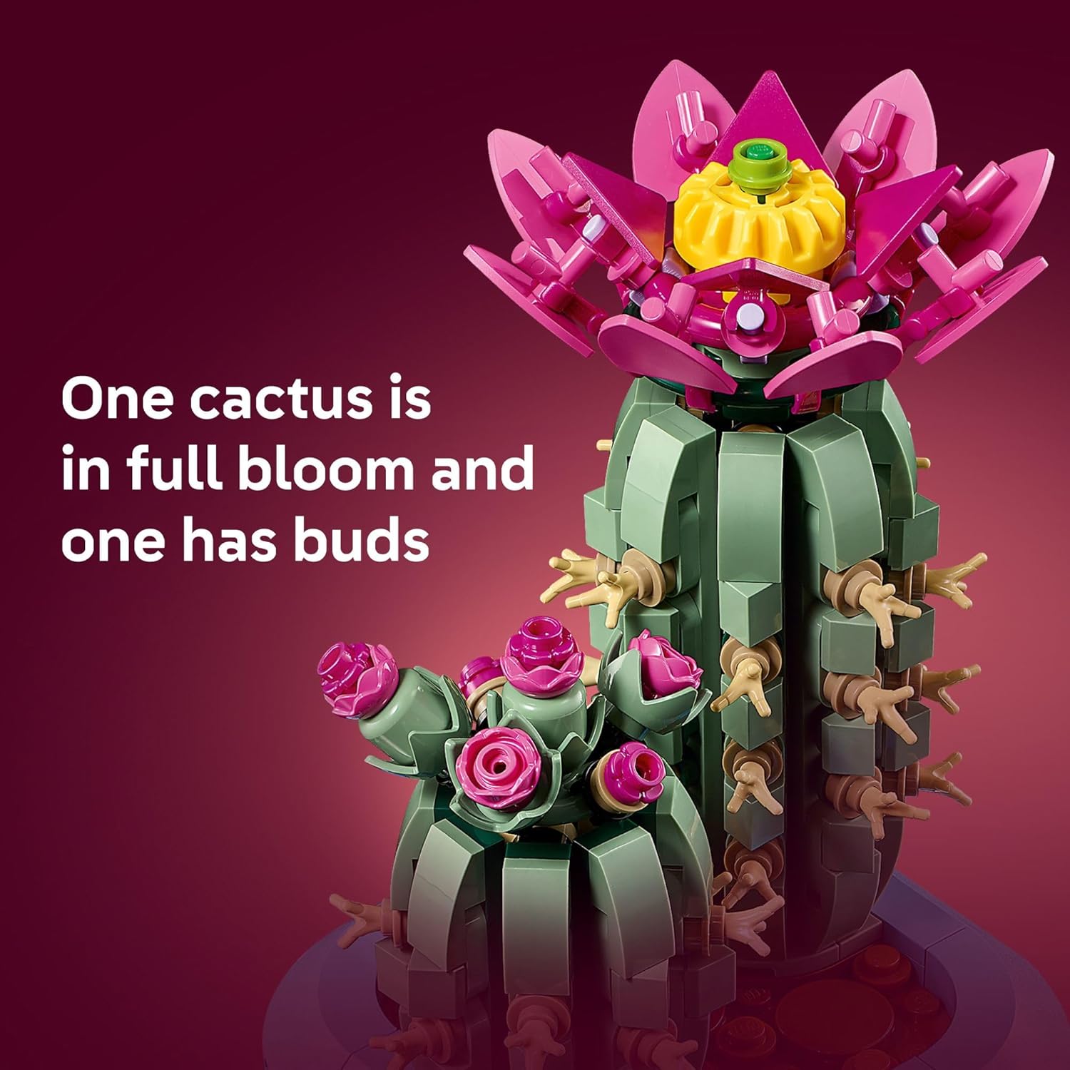 LEGO Botanicals Flowering Cactus Building Toy - Crafting Kit for Girls & Boys, Ages 9+ - Gift for Birthdays - Cactus Room Decor for Display for Bedroom or Book Shelf - 11509