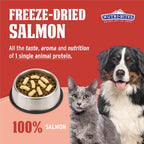 Nutri Bites Freeze Dried Salmon Dog & Cat Treats, 14oz | Healthy Pet Training Treats or Food Topper | All Natural, 1 Single Animal Protein, High Protein